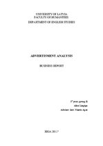 Paraugs 'Advertisment Analysis', 1.