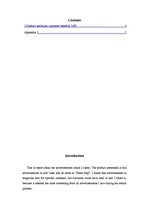 Paraugs 'Advertisment Analysis', 3.