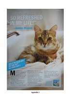 Paraugs 'Advertisment Analysis', 6.