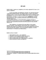 Referāts 'Intelektuālās nabadzības apliecība: plaģiātisms', 2.