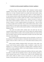 Diplomdarbs 'Tiesību ietekme uz saistību bezstrīdus piespiedu izpildīšanu', 9.