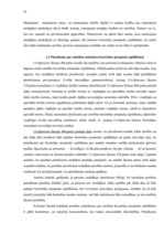 Diplomdarbs 'Tiesību ietekme uz saistību bezstrīdus piespiedu izpildīšanu', 25.