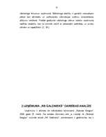 Diplomdarbs 'Uzņēmuma "RB Galdnieks" mārketinga darbības analīze un mārketinga komunikāciju p', 25.