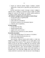 Diplomdarbs 'Uzņēmuma "RB Galdnieks" mārketinga darbības analīze un mārketinga komunikāciju p', 33.