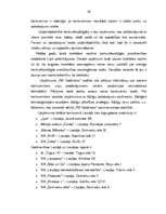 Diplomdarbs 'Uzņēmuma "RB Galdnieks" mārketinga darbības analīze un mārketinga komunikāciju p', 36.
