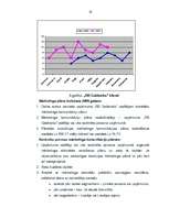 Diplomdarbs 'Uzņēmuma "RB Galdnieks" mārketinga darbības analīze un mārketinga komunikāciju p', 58.
