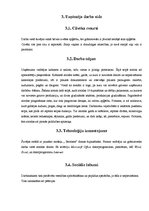 Referāts 'Uzņēmēja "ēna"', 6.