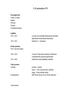 Referāts 'Uzņēmēja "ēna"', 8.