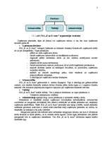 Prakses atskaite 'Prakses atskaite SIA "K un K Auto"', 3.