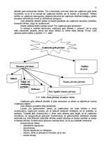 Prakses atskaite 'Prakses atskaite SIA "K un K Auto"', 12.