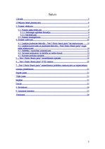 Prakses atskaite 'Kultūras institūciju vadības prakse', 2.