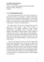 Prakses atskaite 'Kultūras institūciju vadības prakse', 6.