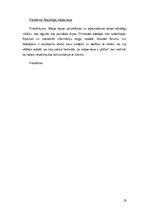 Prakses atskaite 'Kultūras institūciju vadības prakse', 23.