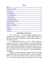 Referāts 'Uzņēmuma SIA "X" finansiālā stāvokļa izpēte', 2.