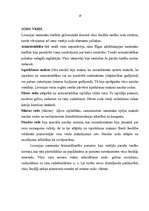 Referāts 'Livonijas valsts iekārta un tiesības', 19.