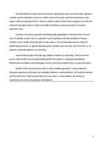 Referāts 'Mednieku - zvejnieku sabiedrība un saimniecība no 3400.-1800.gadam pirms Kristus', 2.