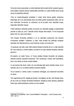 Eseja 'Etniskais faktors starpvalstu attiecībās.', 3.