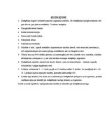 Referāts 'Smēķēšanas kaitīgā ietekme uz pusaudža organismu', 10.