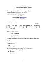 Biznesa plāns 'Biznesa plāns', 2.