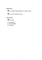 Biznesa plāns 'Biznesa plāns', 3.