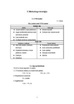 Biznesa plāns 'Biznesa plāns', 5.