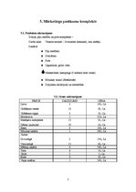 Biznesa plāns 'Biznesa plāns', 7.