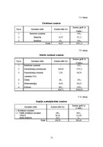 Biznesa plāns 'Biznesa plāns', 13.