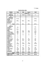 Biznesa plāns 'Biznesa plāns', 15.