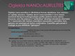 Prezentācija 'Nanotehnoloģijas. Nanopasaule', 5.