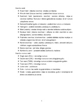 Referāts 'Viesnīcas, to raksturojums Liepājas pilsētā', 5.