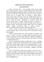 Referāts 'Viesnīcas, to raksturojums Liepājas pilsētā', 8.