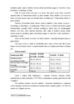 Referāts 'Viesnīcas, to raksturojums Liepājas pilsētā', 9.