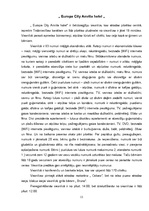 Referāts 'Viesnīcas, to raksturojums Liepājas pilsētā', 11.