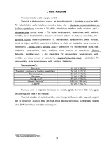 Referāts 'Viesnīcas, to raksturojums Liepājas pilsētā', 18.