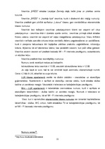 Referāts 'Viesnīcas, to raksturojums Liepājas pilsētā', 22.