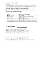 Prakses atskaite 'Aprūpes plāns pacientam ar bronhiālo astmu', 3.