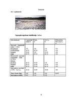 Referāts 'Latvijas derīgie izrakteņi', 20.