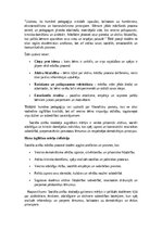 Eseja 'Mana izglītības filosofija', 3.