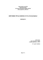 Referāts 'Dzīvnieku šūnas kodols un tā patoloģijas', 1.