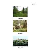 Referāts 'Ainavu degradācija', 1.