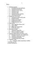 Biznesa plāns 'Biznesa plāns SIA "Lita"', 3.