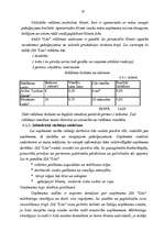 Biznesa plāns 'Biznesa plāns SIA "Lita"', 19.