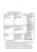 Biznesa plāns 'Biznesa plāns SIA "Lita"', 25.