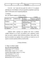 Biznesa plāns 'Biznesa plāns SIA "Lita"', 28.