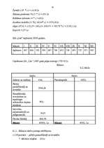 Biznesa plāns 'Biznesa plāns SIA "Lita"', 29.