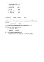 Biznesa plāns 'Biznesa plāns SIA "Lita"', 30.