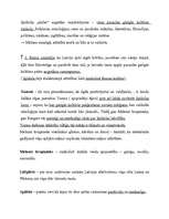 Konspekts 'Spīdola Raiņa lugā "Uguns un nakts"', 2.