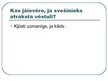 Prezentācija 'Drošība internetā', 2.