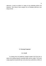 Diplomdarbs 'Rēzeknes aizsargu organizācija no 1920. līdz 1929.gadam', 34.