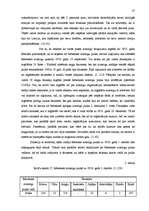 Diplomdarbs 'Rēzeknes aizsargu organizācija no 1920. līdz 1929.gadam', 37.